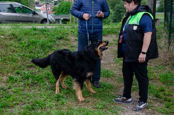 Pomladni tečaji uspešno zaključeni